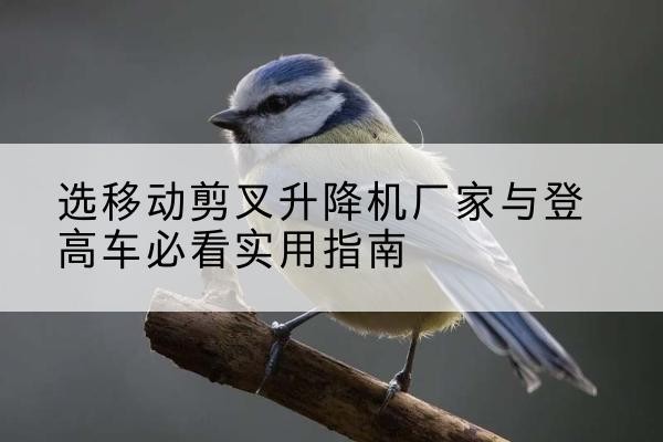 蒙城电动升降机厂家-选移动剪叉升降机厂家与登高车必看实用指南