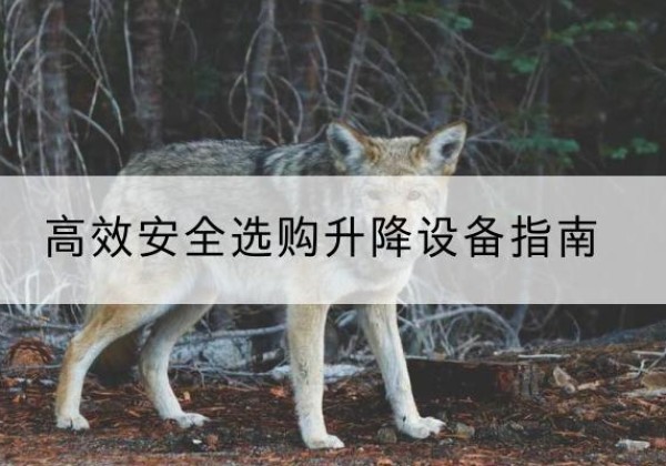 蒙城升降货梯厂家推荐-*安全选购升降设备指南