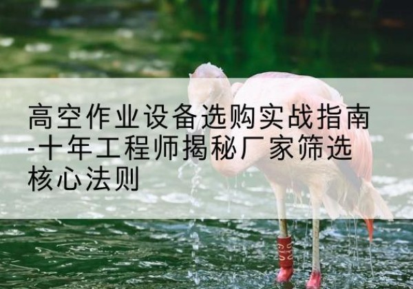 蒙城剪叉式升降机厂家-高空作业设备选购实战指南-十年工程师揭秘厂家筛选核心法则